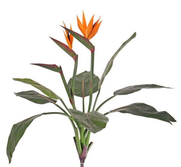 kunstig Strelitzia stilk