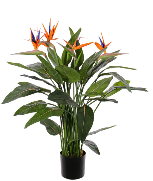 Kunstig Strelitzia