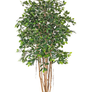 kunstig Ficus microcarpa TA-953180 180 cm