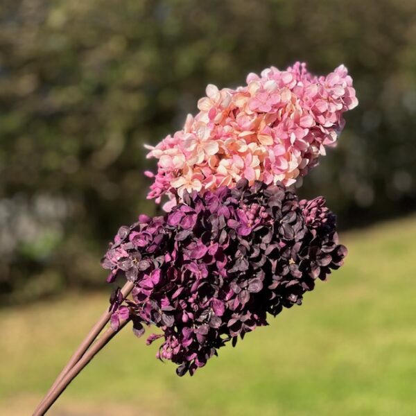 kunstig syren hortensia rosa og aubergine