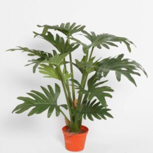 Kunstig Philoddendron h 43 5717