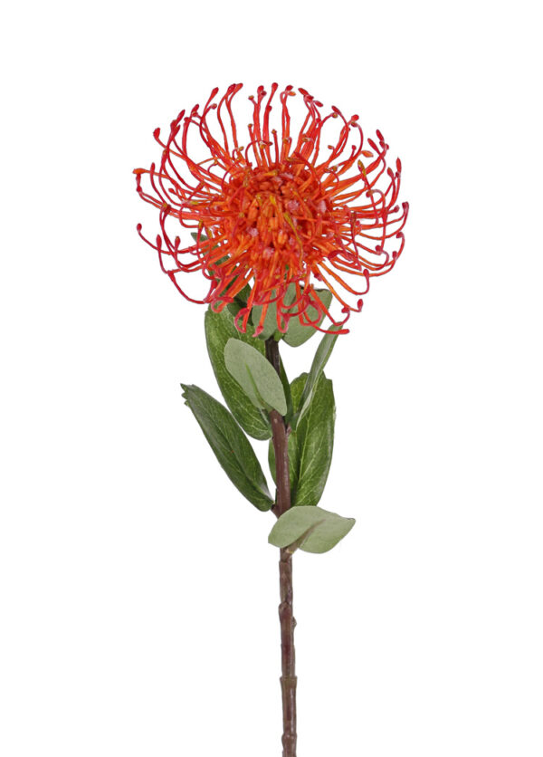 Kunstig Protea Nålepude (Leucospermum cordifolium) orange